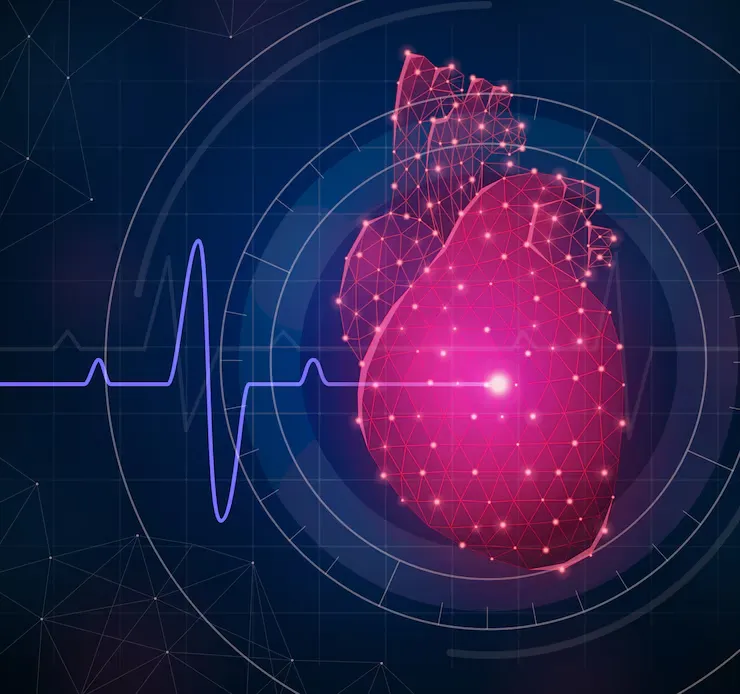 Ecografia cardiacă: evaluarea sănătății inimii Ecografia cardiacă: evaluarea sănătății inimii